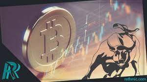 Crypto Trading Bootcamp for Beginners in 2020