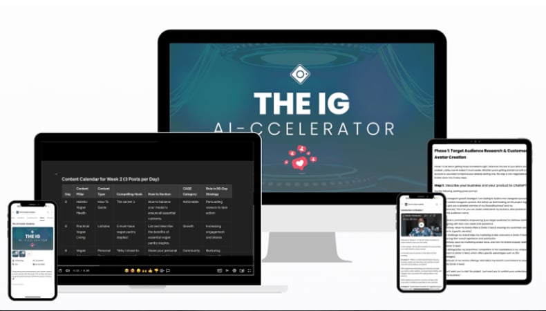 The IG AI-ccelerator