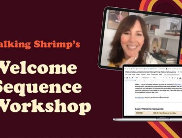 Welcome Sequence Workshop